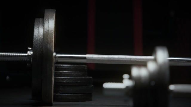 353321a0c864dc4f8cde7ce141851a43